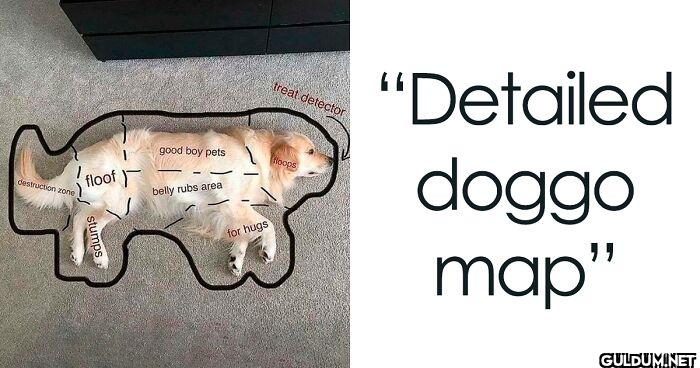 Detailed Doggo Map   ...