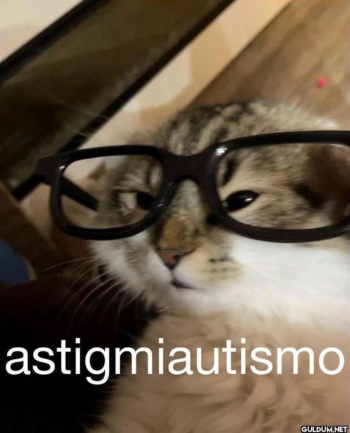 astigmiautismo