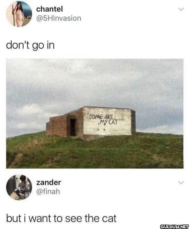don't go in COME SEE MY...