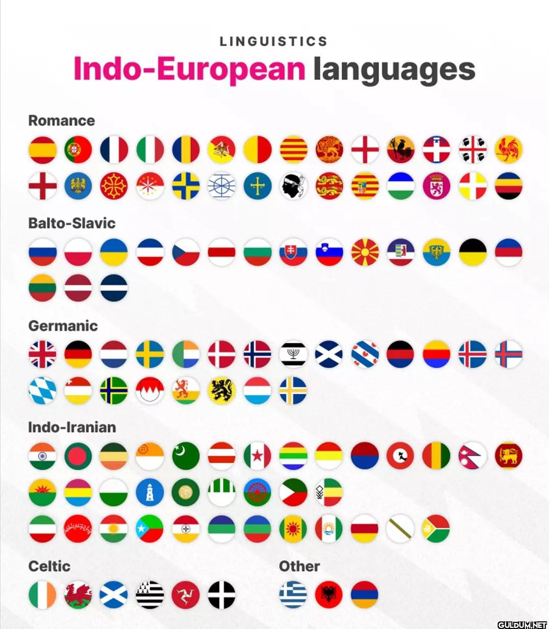 INDO-EUROPEAN languages 🔠 ...