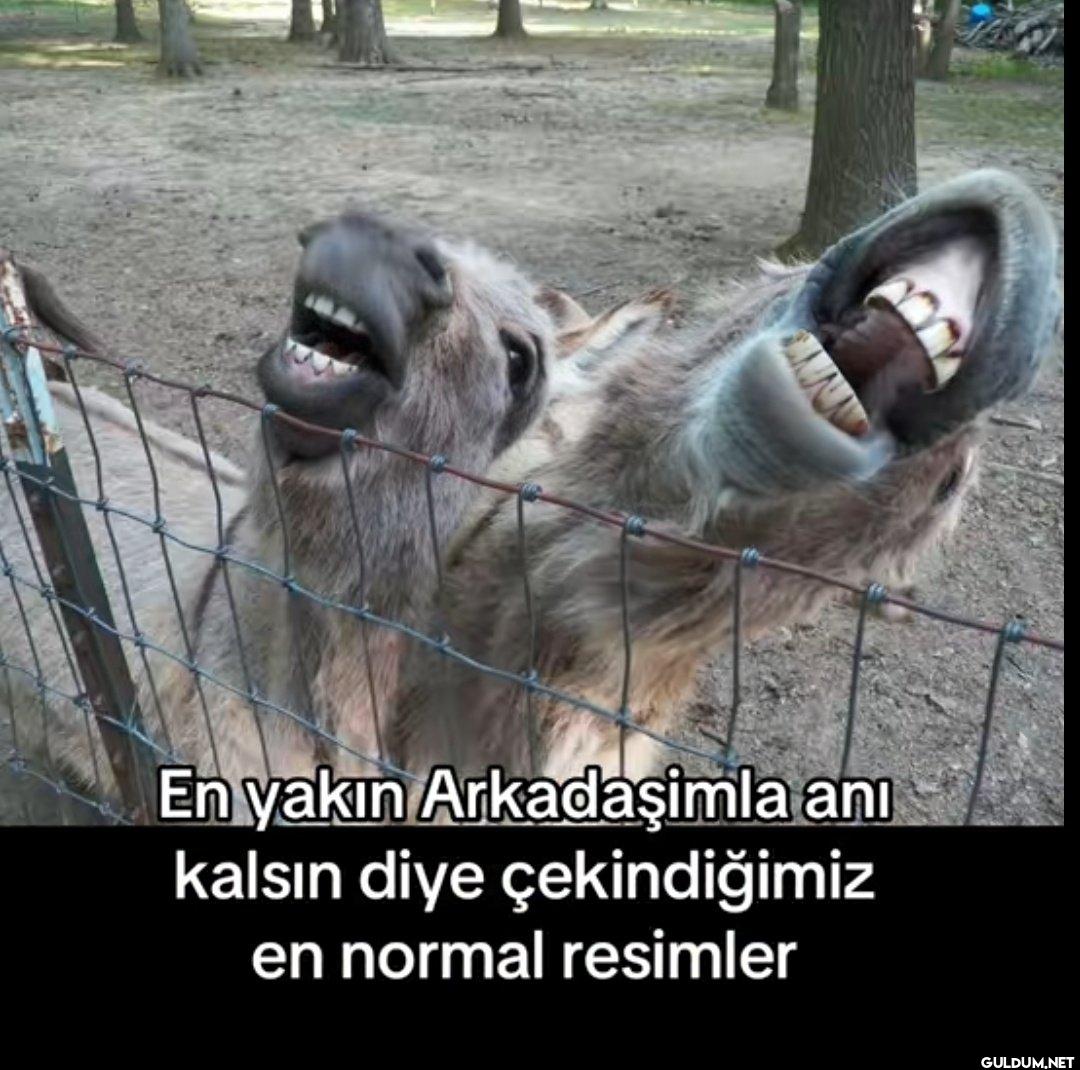 En yakın Arkadaşimla anı...