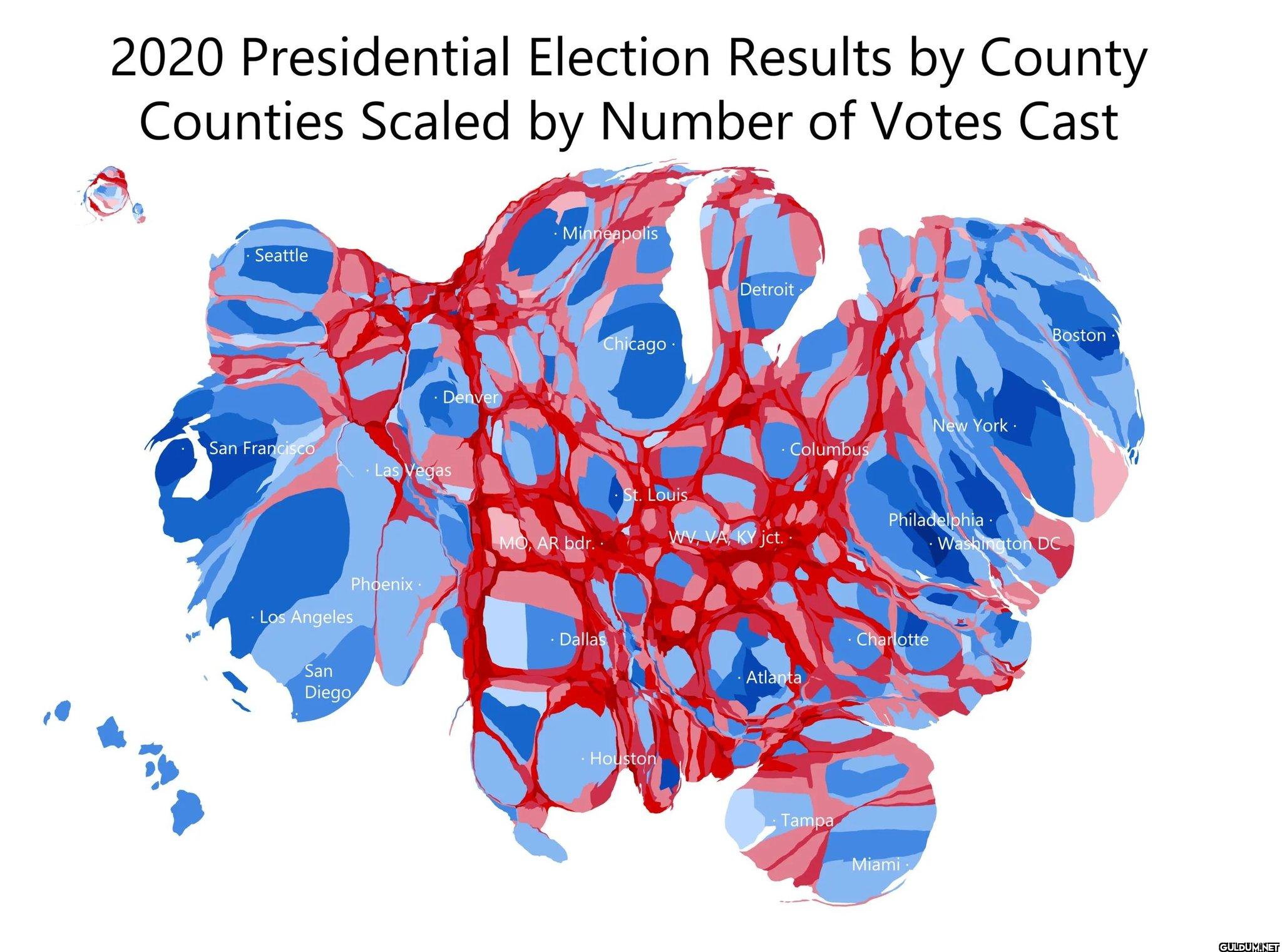 2020 U.S. Presidential...