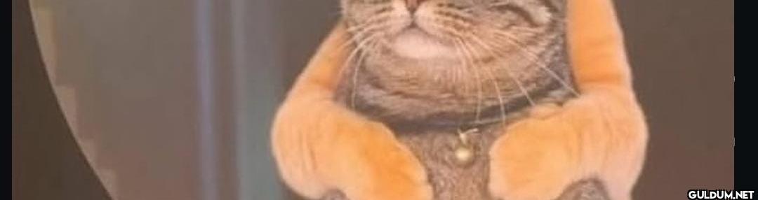И