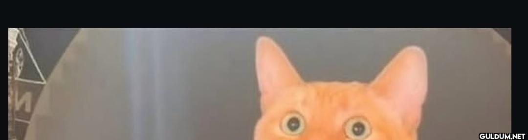 И