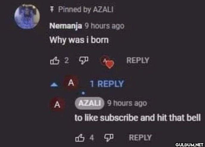 Pinned by AZALI Nemanja 9...