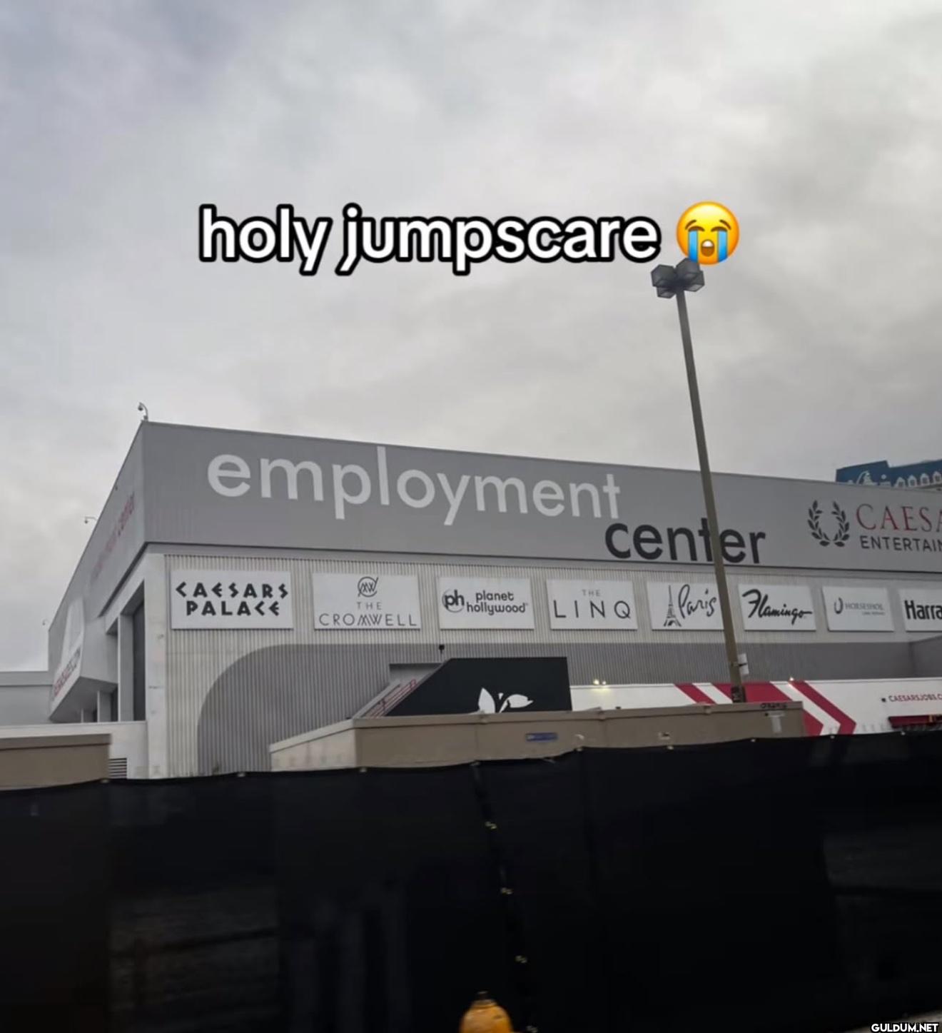 holy jumpscare employment...