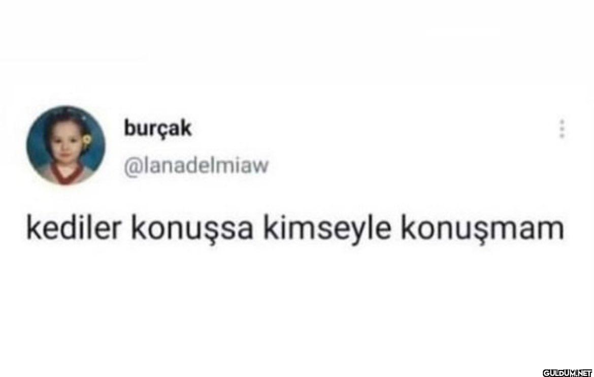 kediler konuşsa kimseyle konuşmam
