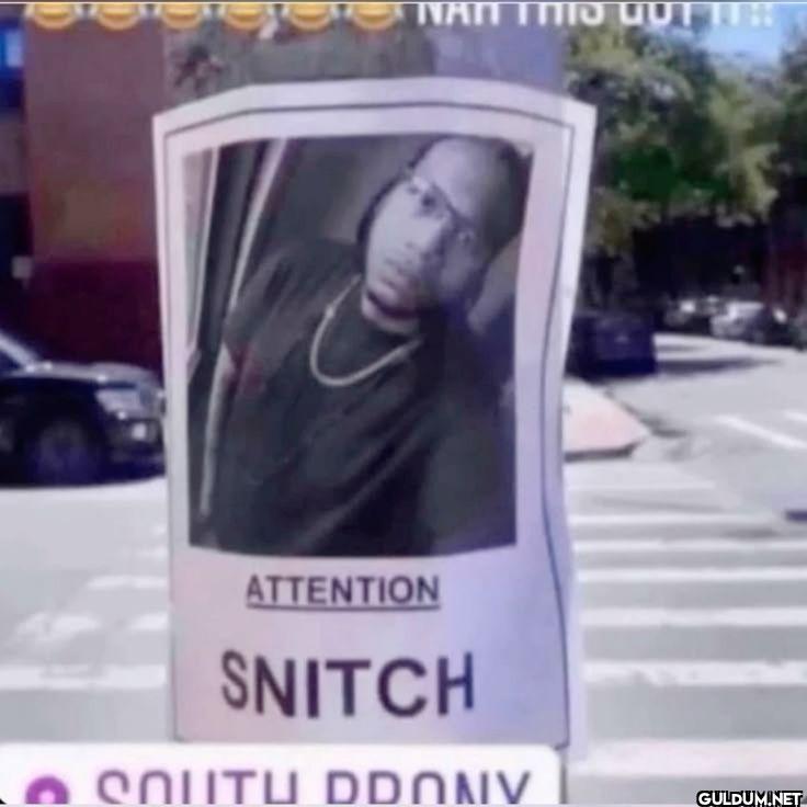 ATTENTION SNITCH