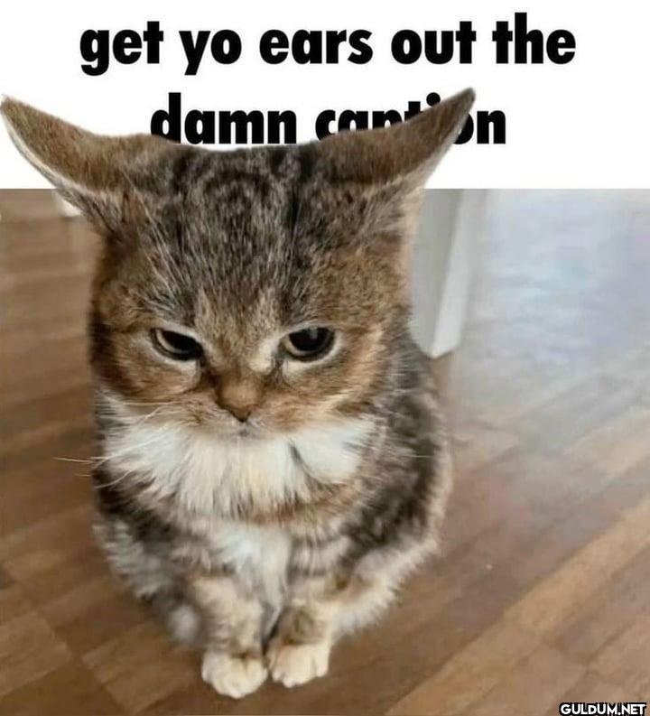 get yo ears out the damn cann