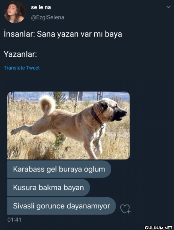 İnsanlar: Sana yazan var...