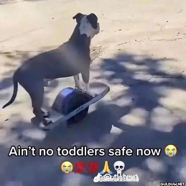 Ain't no toddlers safe now...