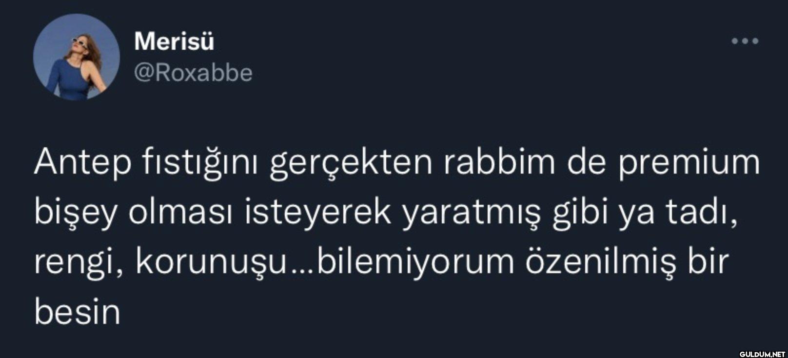 Antep fıstığını gerçekten...