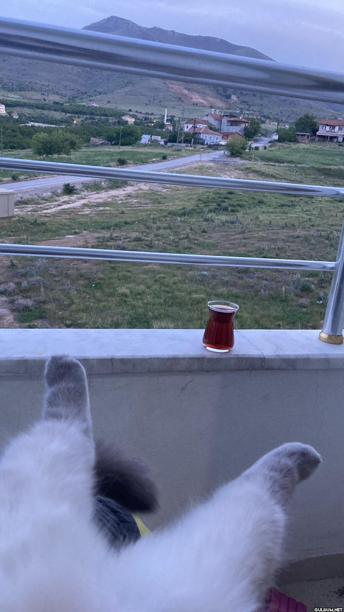 lan kara mehmet kalk gel...