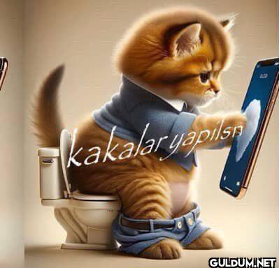 sular gelmis    kakalar...