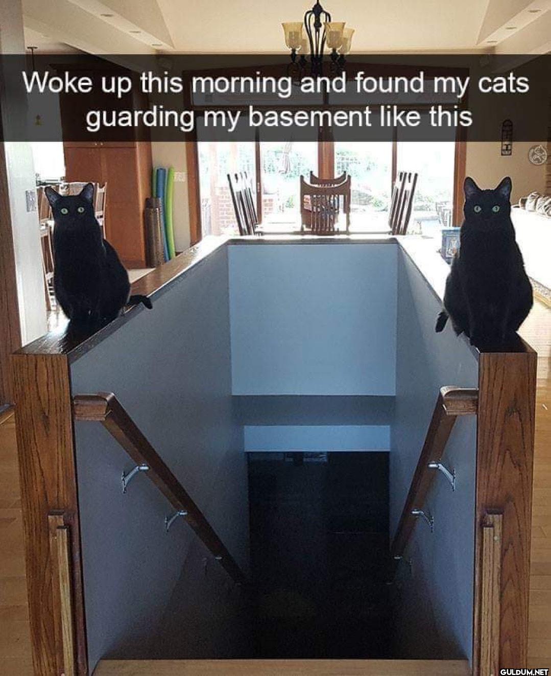 Woke up this morning and...