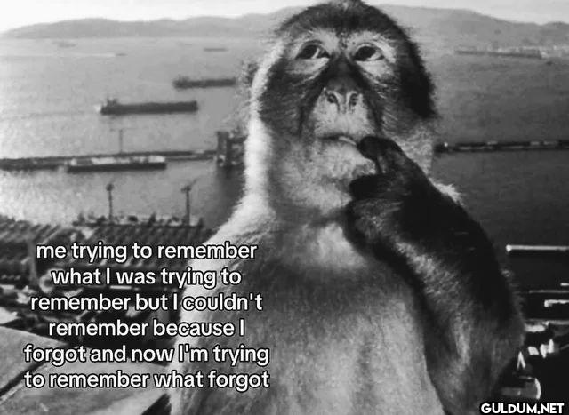 me trying to remember what...