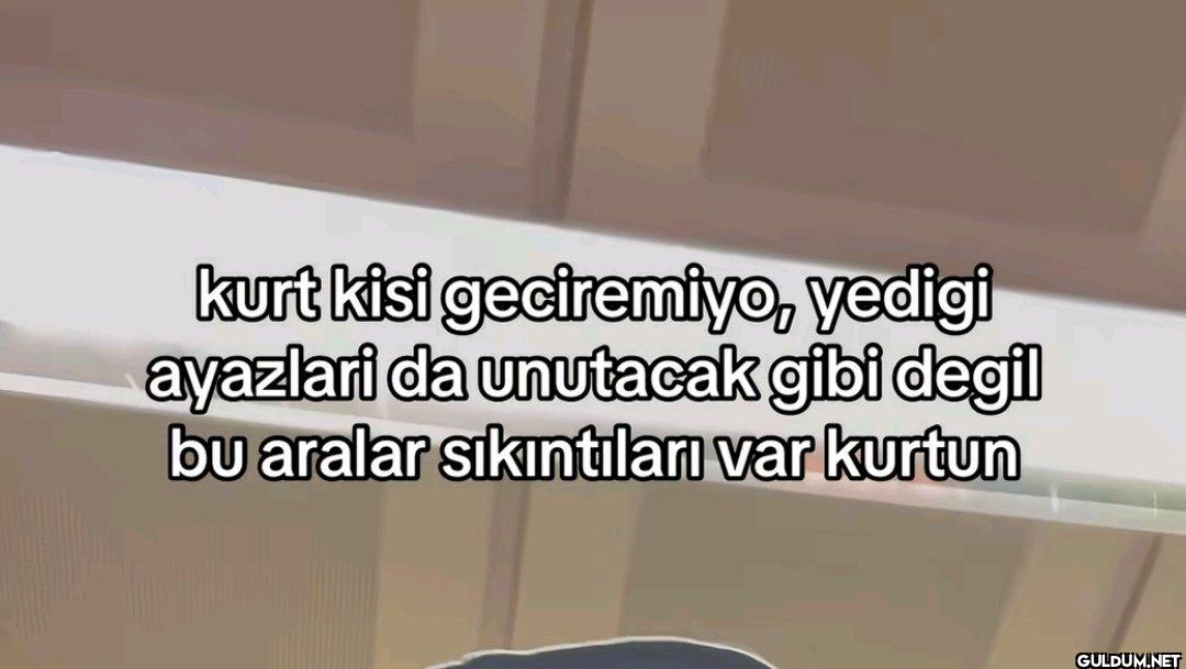 kurt kisi geciremiyo,...