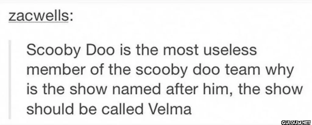 zacwells: Scooby Doo is...