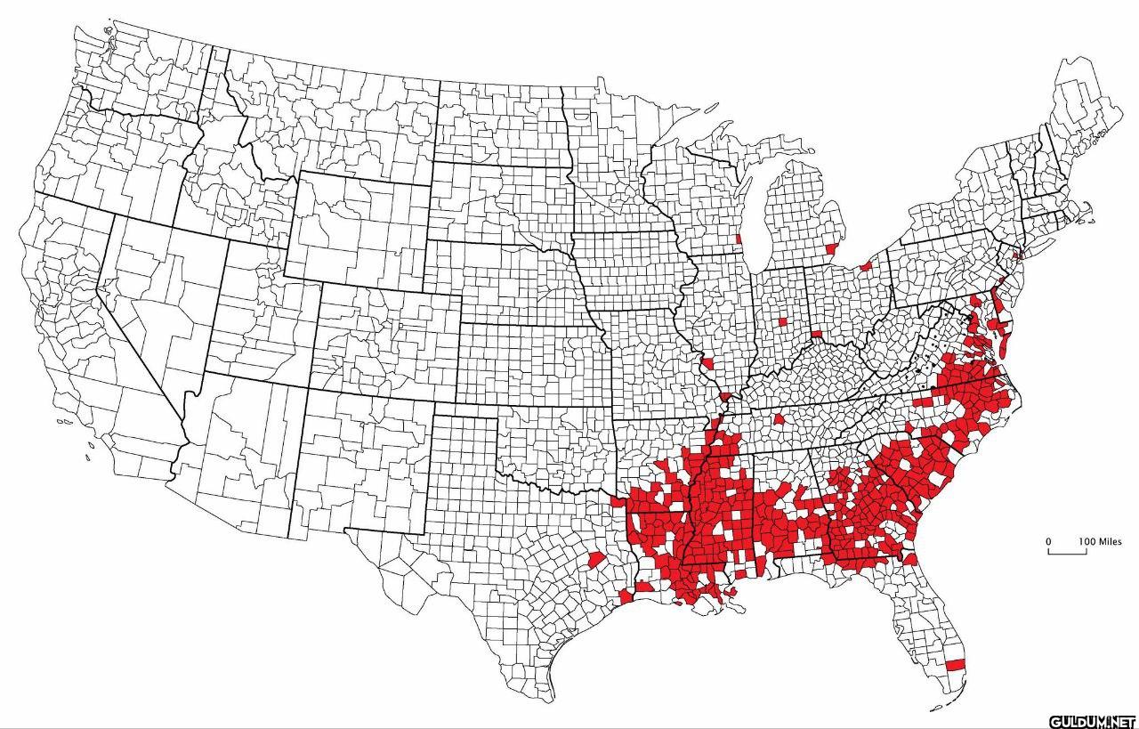 U.S. Counties where the...