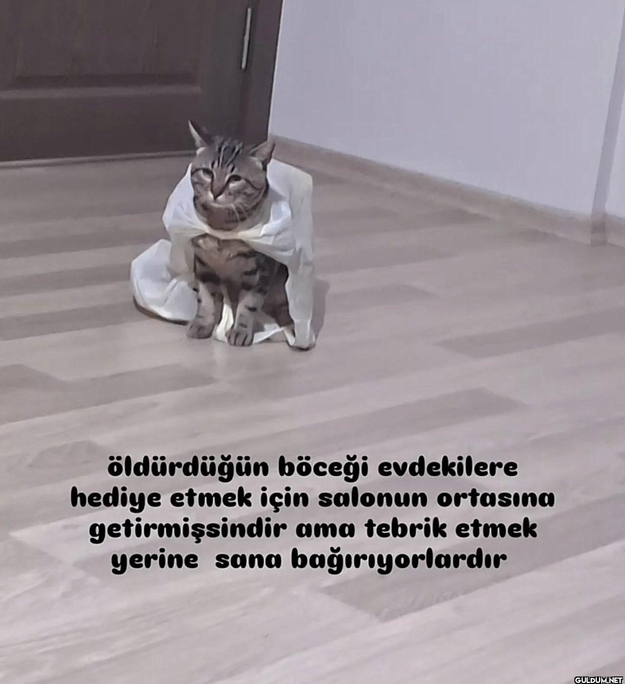 öldürdüğün böceği...
