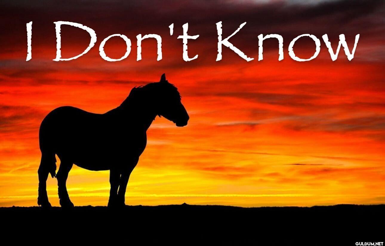 I Don't Know