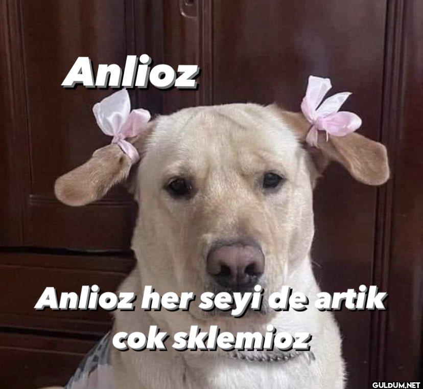 Anlioz Anlioz her seyi de...