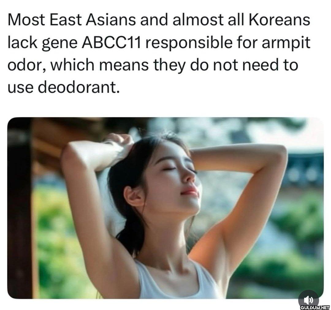 🤔    Most East Asians and...