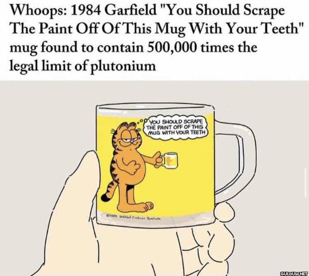 Whoops: 1984 Garfield "You...