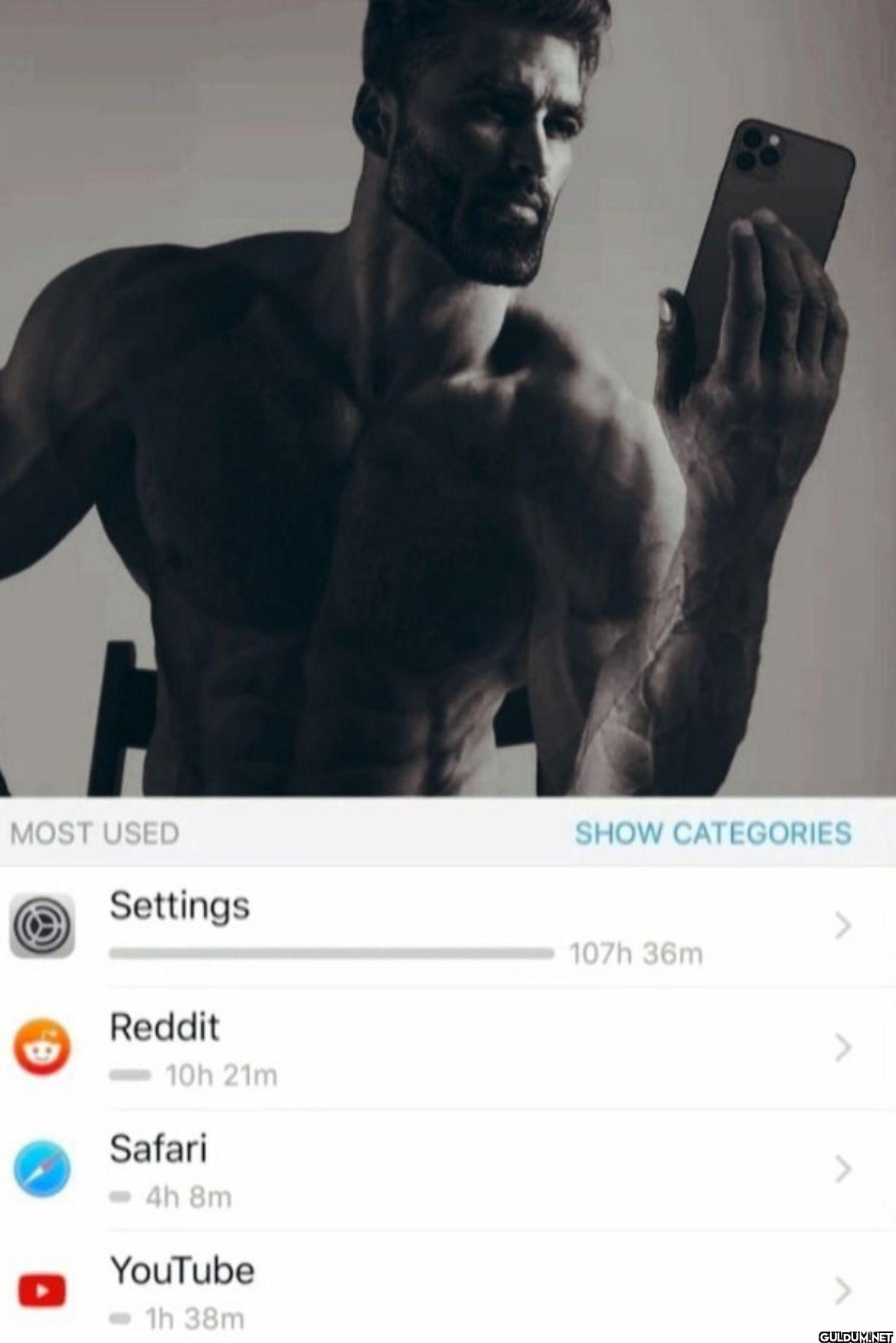 Reddit 10h 21m Safari 4h...