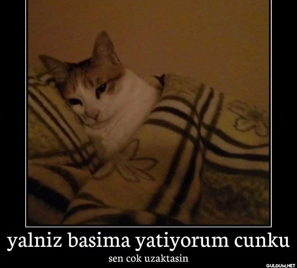 yalniz basima yatiyorum...