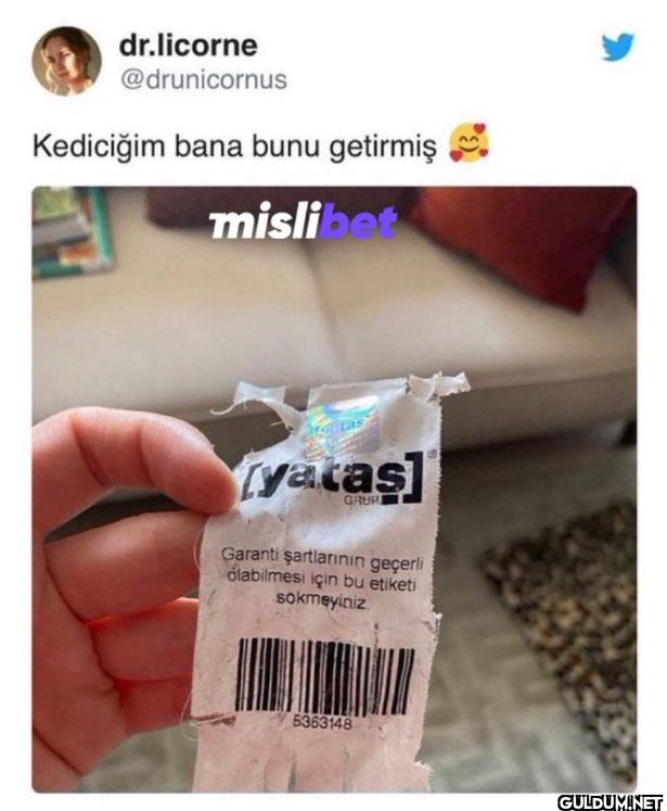 Kediciğim bana bunu...