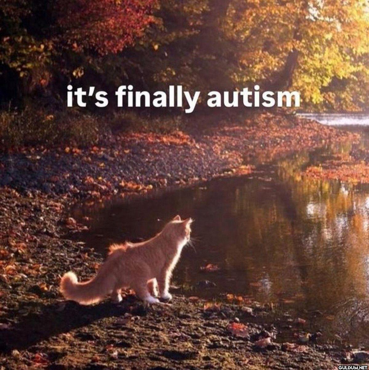 it's finally autism