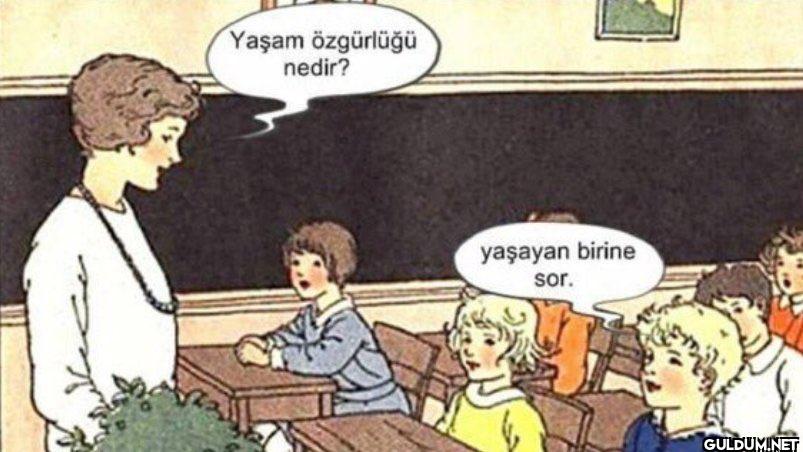 Yaşam özgürlüğü nedir?...