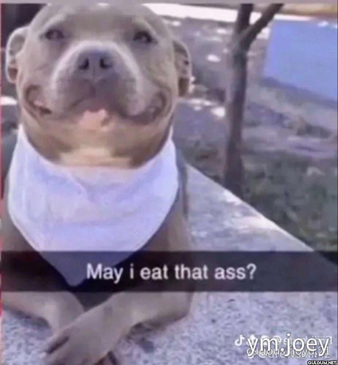 May i eat that ass?
