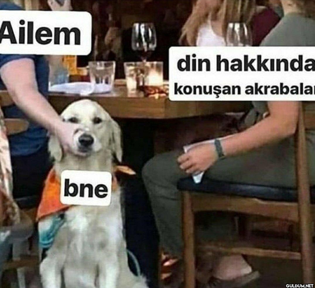 Ailem AD bne din hakkında...