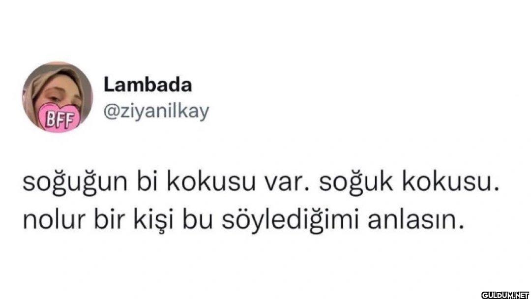 soğuğun bi kokusu var....