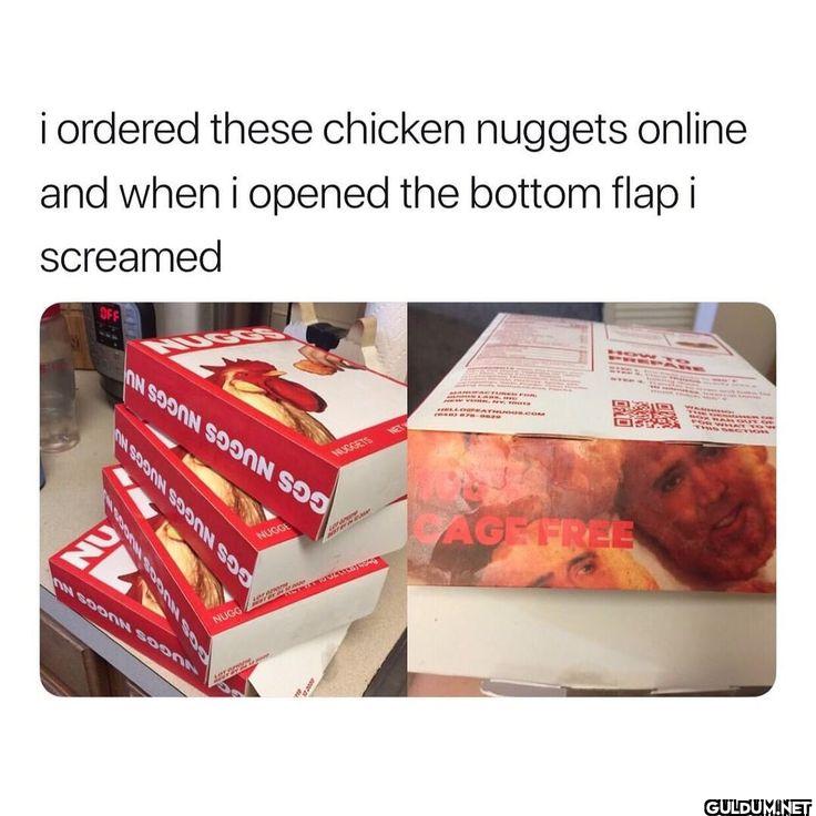 i ordered these chicken...