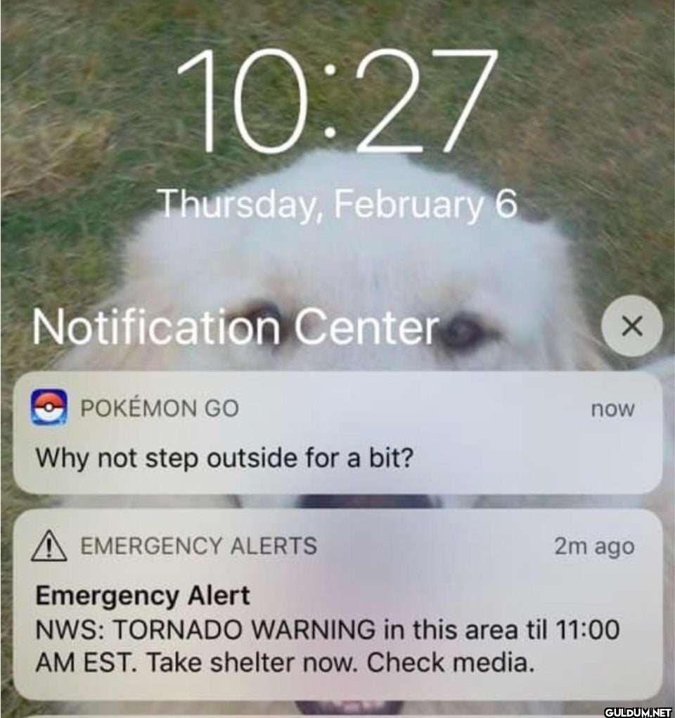 Popular post