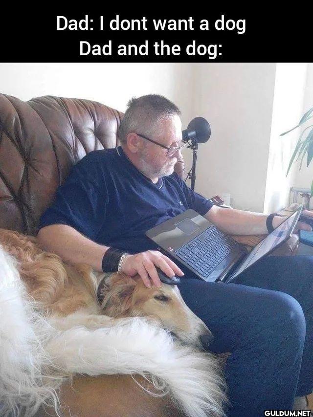Dad I dont want a dog Dad...