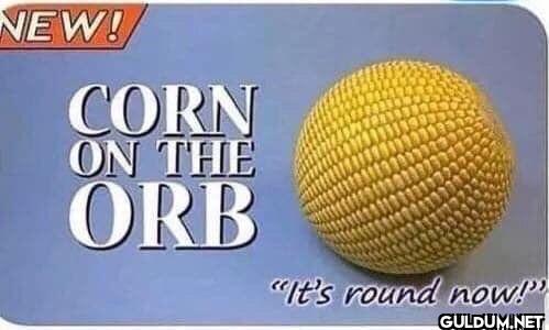 NEW! CORN ON THE ORB "It's...