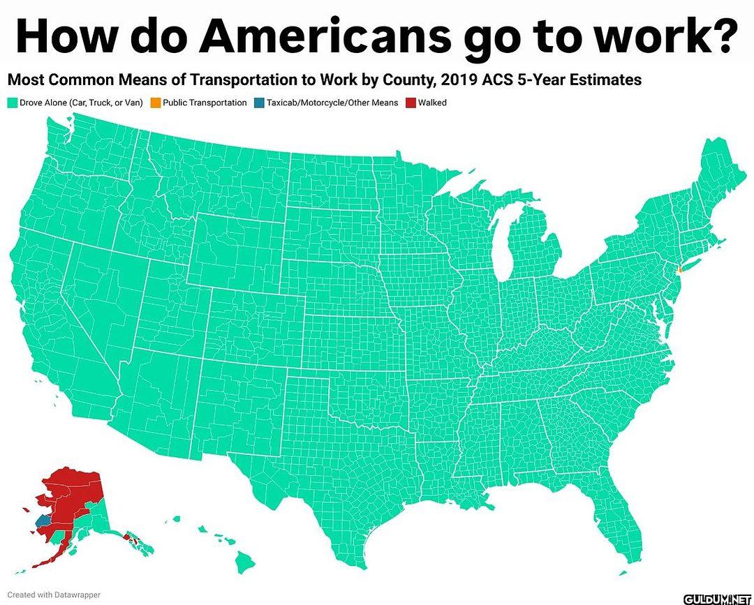 How do Americans go to...