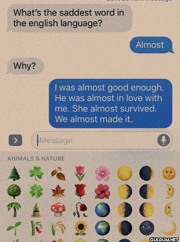 What's the saddest word in...