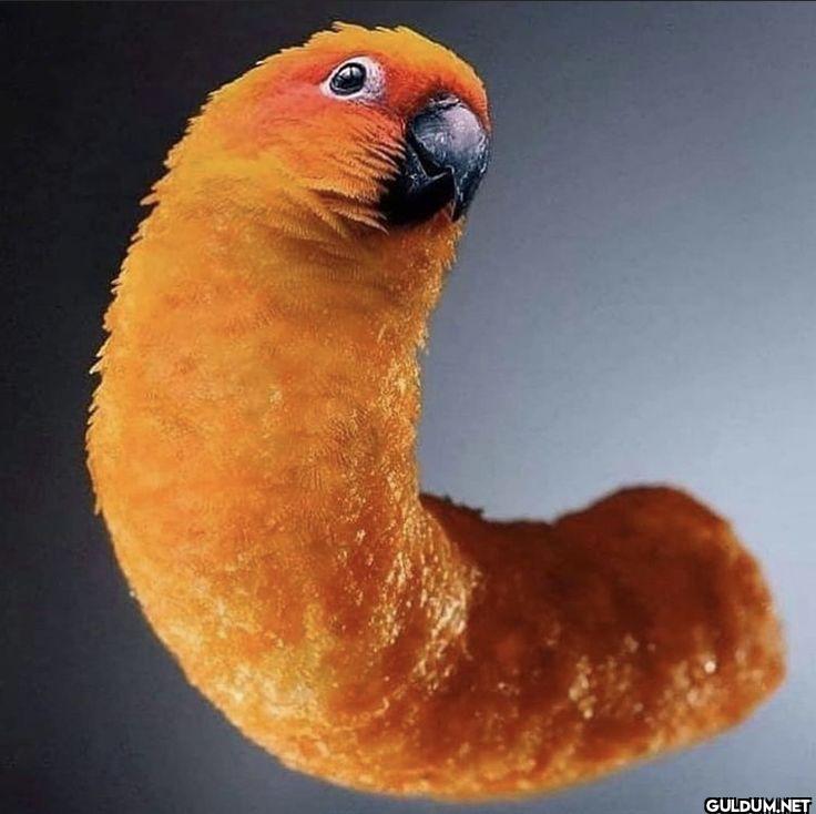 ︎ ︎ ︎ ︎