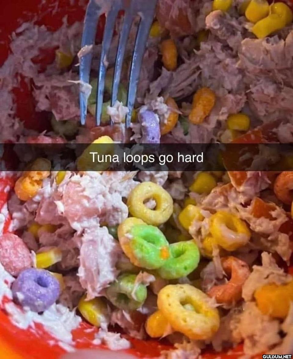 ︎ ︎ ︎ ︎    Tuna loops go hard