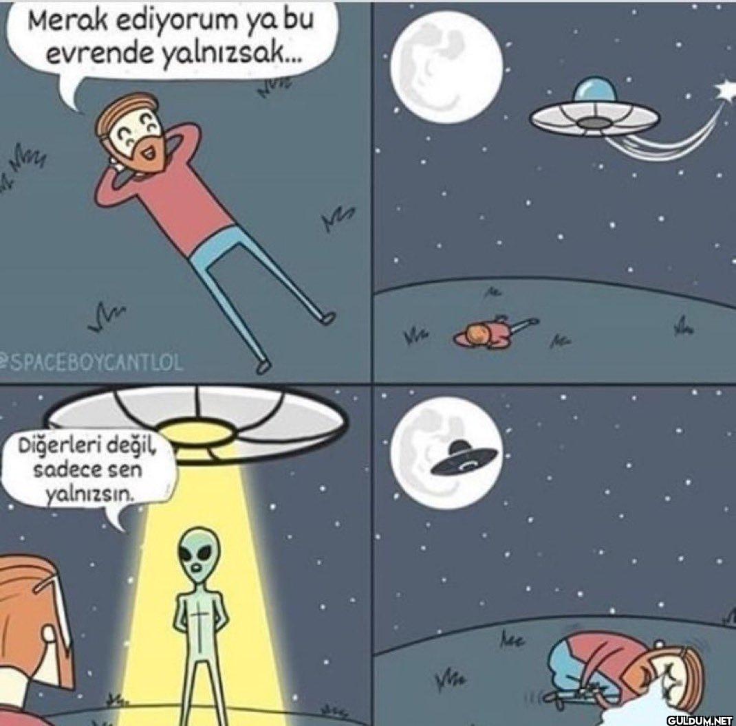 Merak ediyorum ya bu...