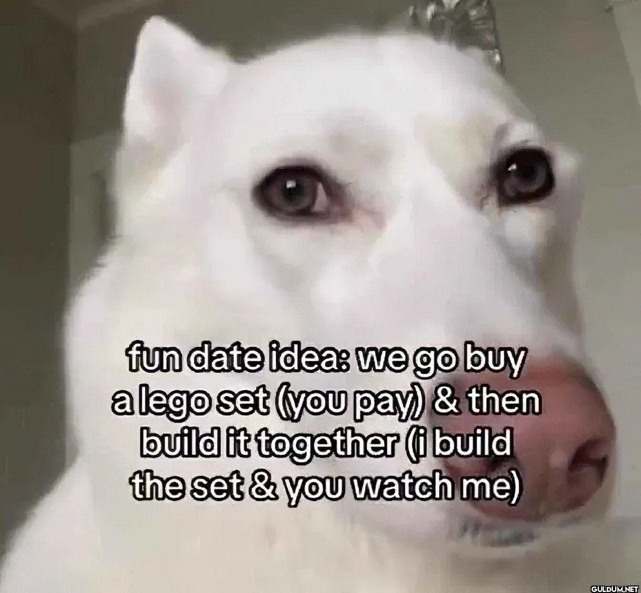 fun date idea: we go buy a...