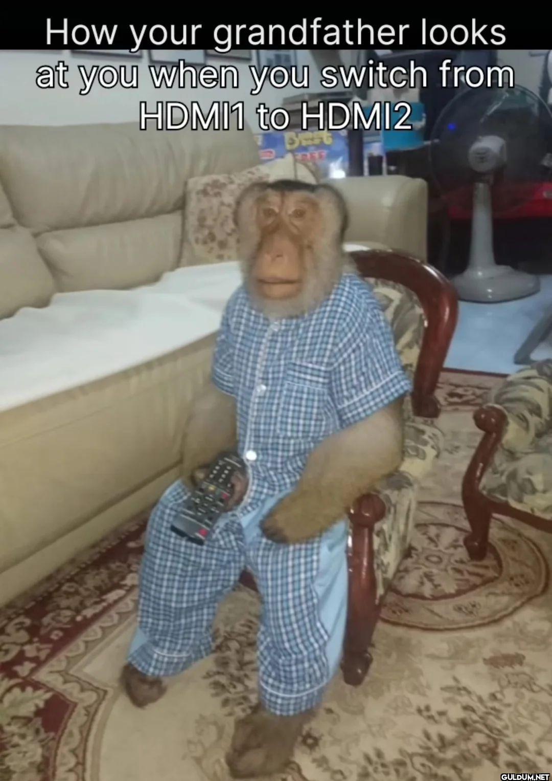 How your grandfather looks...