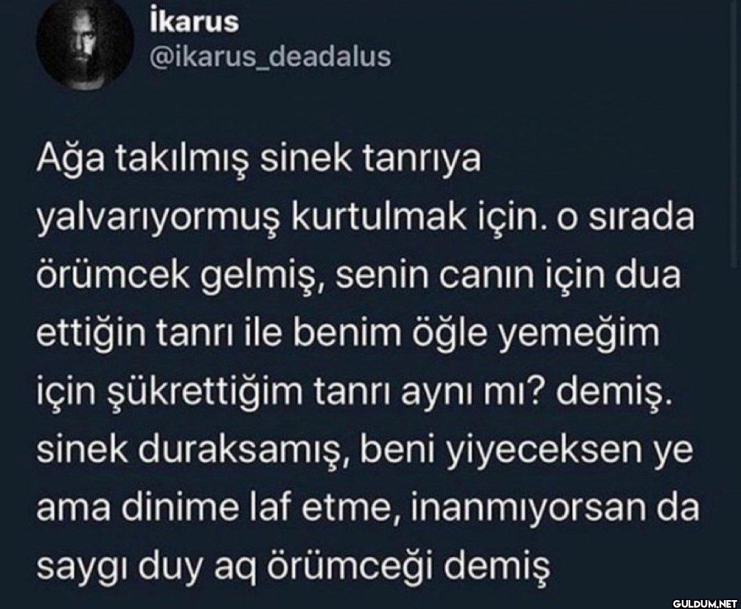 Ağa takılmış sinek tanrıya...