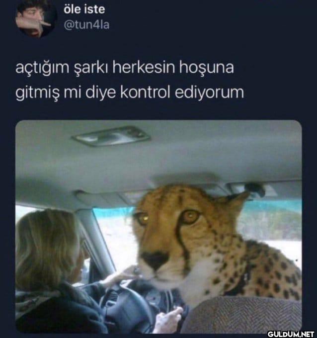 açtığım şarkı herkesin...