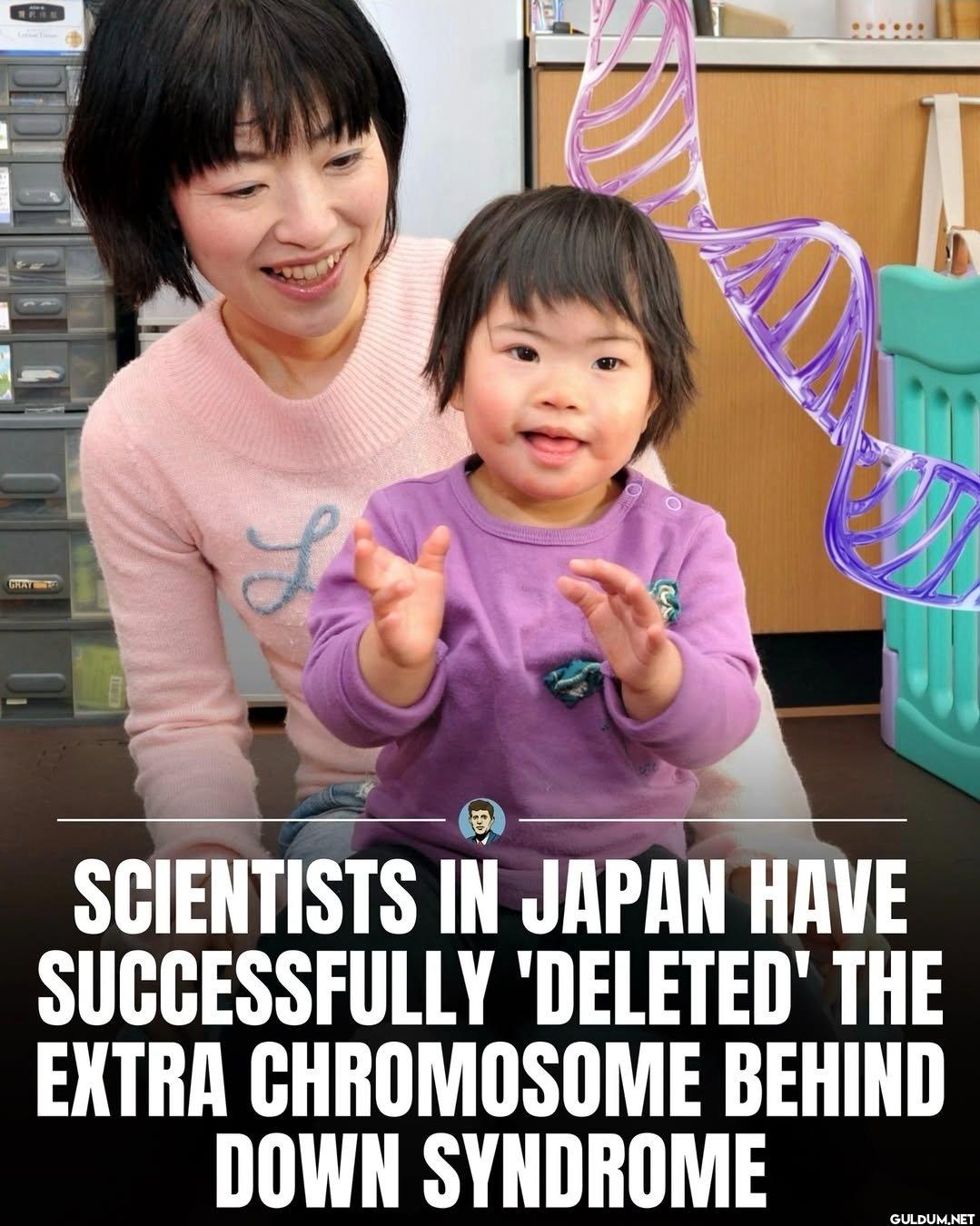 Japanese researchers have...